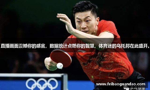 直播画面震撼你的感官，数据统计点燃你的智慧，体育迷的乌托邦在此盛开。